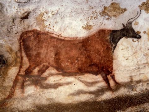 Peinture lascaux