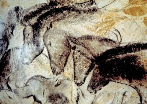 cheval et ses patrimoines